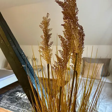 148qm Apartment, Naehe Duesseldorf, 4 Schlafzimmer, Privater Parkplatz Appartamento *