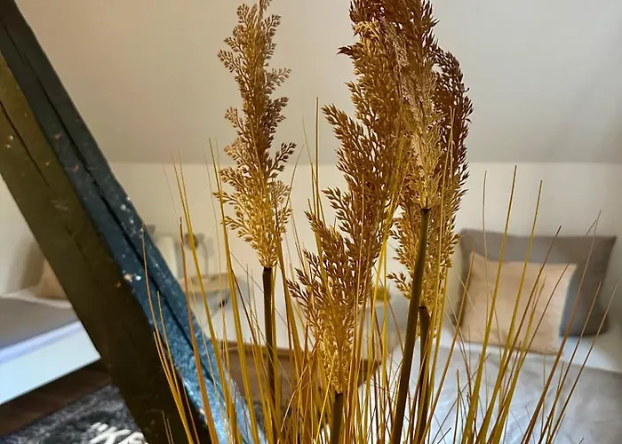 148qm Apartment, Naehe Duesseldorf, 4 Schlafzimmer, Privater Parkplatz Appartamento *